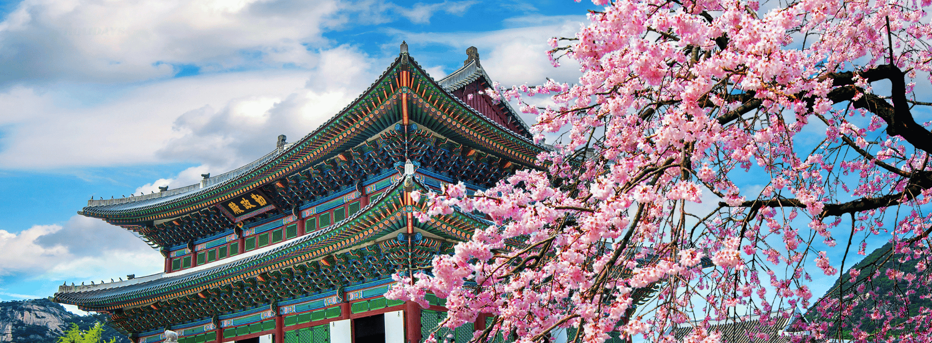 Korea Tours Image